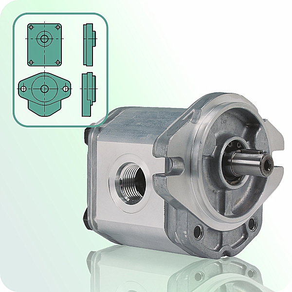 ALM1 series hydraulic gear motor
