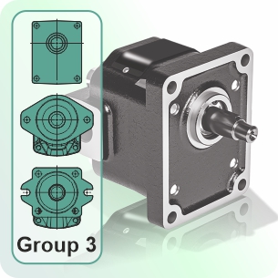 Flange variations for Group 3 cast iron external gear pumps and motors