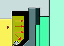 Special shaft radial sealing system diagram 